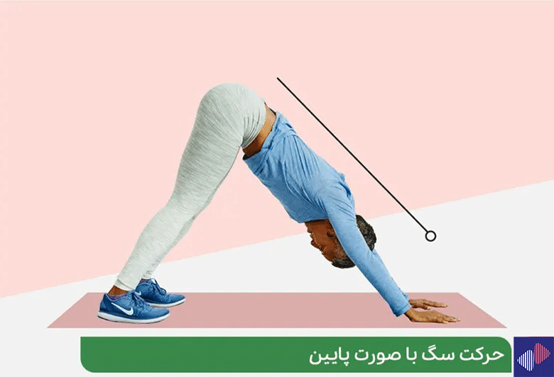 حرکت سگ با صورت پایین (Downward Facing Dog)